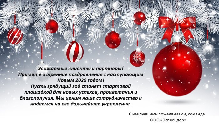 Поздравляем с Новым годом!