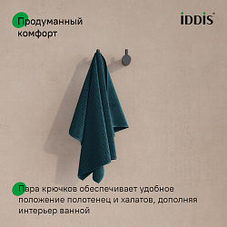 Комплкект одинарных крючков, сплав металлов, Petite, черный матовый, IDDIS, PET2SB3i41