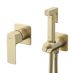 URSUS Встраиваемый смеситель с гигиеническим душем, латунь/брашированное светлое золото