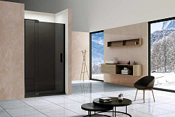 Душевая дверь Extra VDP-1E1112CGB, 1100/1200, черный, стекло тонированное, , шт