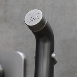 BRONX Встраиваемый термостатический смеситель с гигиеническим душем, латунь/графит, LM3740GM