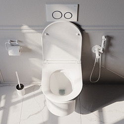 Унитаз подвесной, безободковый, Sena, IDDIS, SENRDSEi25