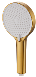 Душевая лейка, золото (PVD-покрытие) BS01-5