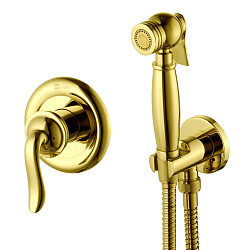 Встраиваемый смеситель с гигиеническим душем, латунь/золото LM4719G
