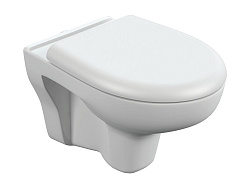 Вывод Унитаз подвесной: NATURE NEW CLEAN ON с кр.дюр. lift, easy-off, белый, Сорт1