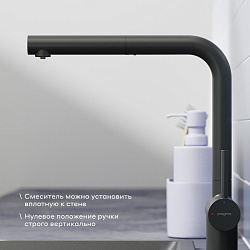 Смеситель для кухни с подключением к фильтру и выдвижным изливом Pragma Esdel, матовый черный, ESD7.