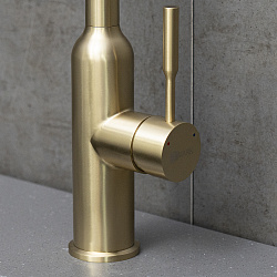 EXPERT Смеситель для кухни с поворотным изливом, нерж. сталь/ светлое золото