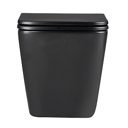 FLOREX Унитаз подвесной, безободковый с сиденьем микролифт,смыв вихревой Торнадо 3.0, черный матовый