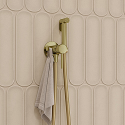 Встраиваемый смеситель с гигиеническим душем, матовое золото, IDDIS, 005MGR0i08