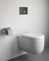 Liquid Сиденье для унитаза быстросъемное с микролифтом