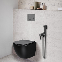 Гигиенический душ VHFW-101GM из латуни, со смесителем, вороненая сталь, , шт