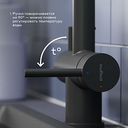 Смеситель для кухни с каналом для фильтрованной воды Pragma Esdel, матовый черный, ESD7.B2LF.014