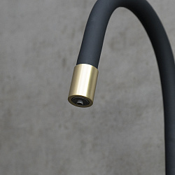 EXPERT Смеситель для кухни с гибким изливом с подкл.к фильтру пит.воды, нерж. сталь / светлое золото