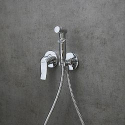 ORTUS Встраиваемый смеситель с гигиеническим душем, латунь/хром, LM11319C