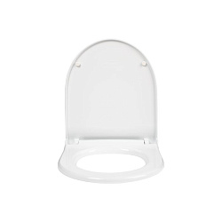 Сиденье для унитаза, полипропилен, Soft Close, IDDIS, 006, 006PPSCi31