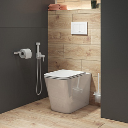 Унитаз приставной безободковый с сиденьем из дюропласта с EasyFix и SC. Bild. Iddis. BILRDSEi26