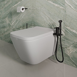 Смеситель с гигиеническим душем с установкой на унитаз, черный матовый, Tidy, Milardo, 001BL00M08