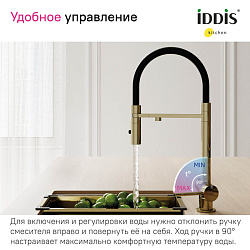 Смеситель для кухни с фильтром и гибким изливом, матовое золото, Ace, IDDIS, ACEMGFFi05