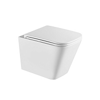 FLOREX Унитаз подвесной безободковый с сиденьем микролифт, смыв вихревой Тонадо 3.0,  , белый