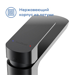 Смеситель для раковины Pragma Teiden, матовый черный, TDN3.BFWL.007