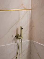 Смеситель с гигиенической лейкой Хром B55804