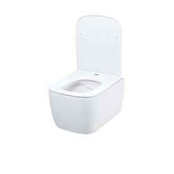 Унитаз подвесной безободковый, Bridge, IDDIS, BRIRDSEi25