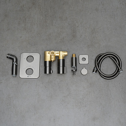 BRONX Встраиваемый термостатический смеситель с гигиеническим душем, латунь/графит, LM3740GM