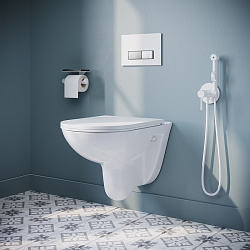 Подвесной унитаз безоободковый Zodiac, IDDIS, ZDCRDSEi25